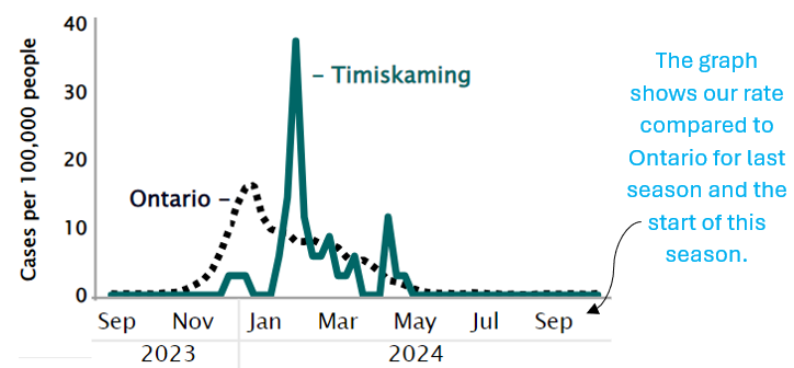 In the previous season, Ontario’s rate peaked at 16.0 per 100,000 during the week of December 30, 2023, while Timiskaming’s rate peaked at 37.0 per 100,000 during the week of February 10, 2024. For the current respiratory season, as of October 19, 2024, influenza rates remain close to 0 in both Timiskaming and Ontario.