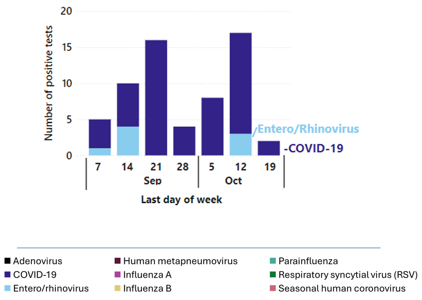 Viruses tested include adenovirus, entero/rhinovirus, human metapneumovirus, influenza A and B, parainfluenza, respiratory syncytial virus, COVID-19 and seasonal human coronavirus. Overall, in September, there were 36 positive COVID-19 tests and 5 positive entero/rhinovirus tests. In October, the following positive tests were detected: 24 for COVID-19 and 3 for entero/rhinovirus. Data is up to October 19.